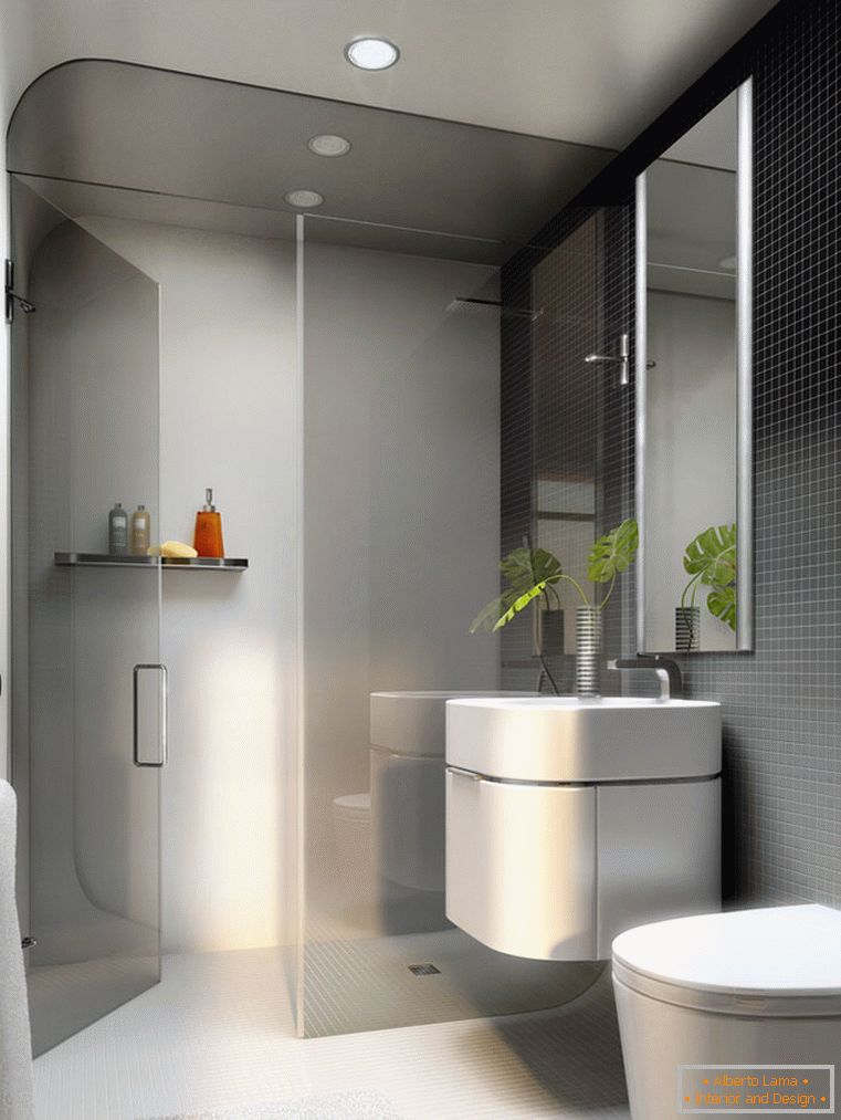 Cameră elegantă cu duș