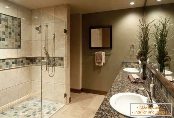 Finisaje frumoase duș cabină de duș și piatră