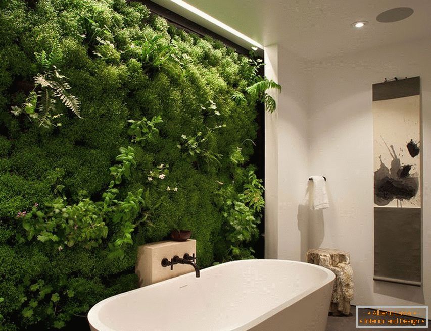 Moss în interior ванной