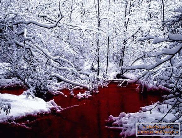 Lacul roșu de sânge în Canada