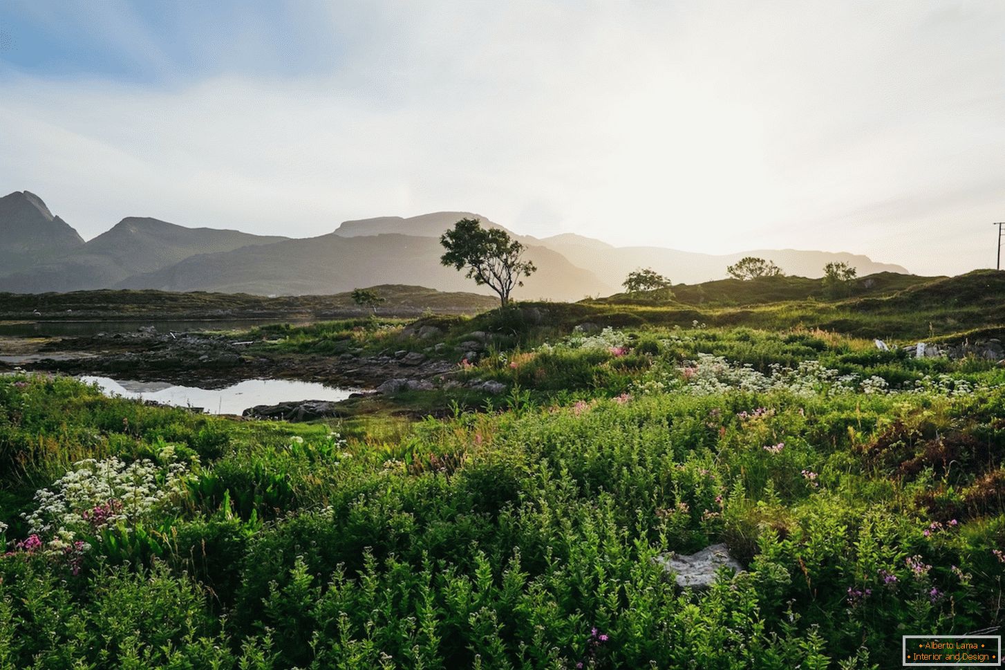 Peisaj juicy al câmpurilor din Norvegia