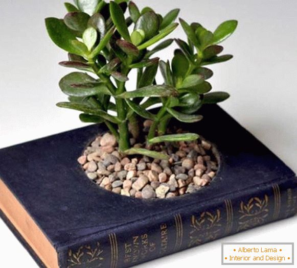 Oală de plante din carte