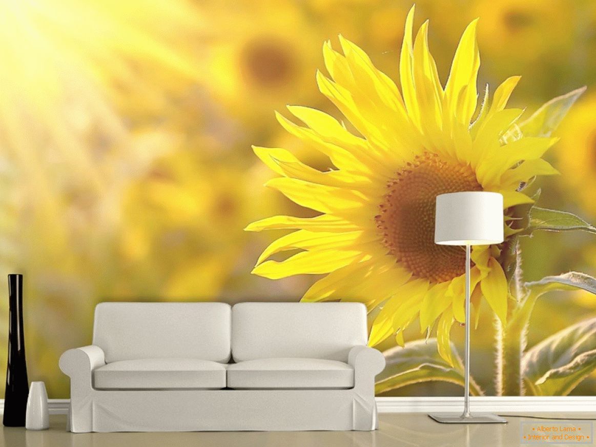 Imagini de fundal cu floarea-soarelui în interior