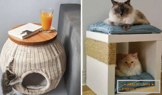 Un loc pentru o pisică într-un apartament