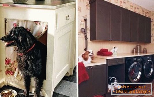 Locul pentru câine în dulapul de bucătărie