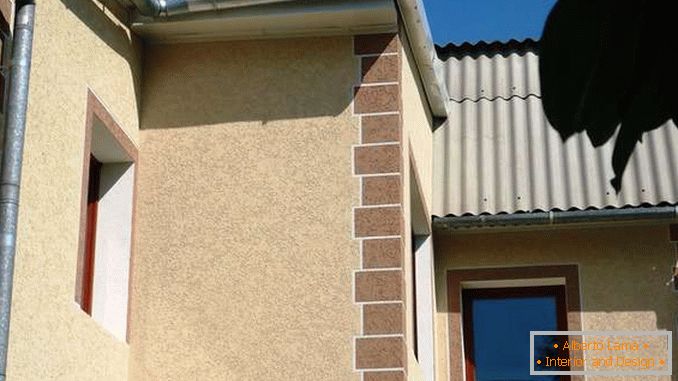 Gândacul de scoarță pe fațadele caselor, foto 13