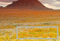 Deserturile din Utah au explodat în culori