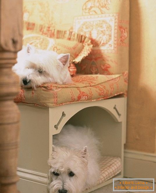 Locul pentru câinele de sub scaun