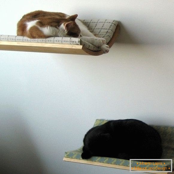Rafturi de perete pentru pisici