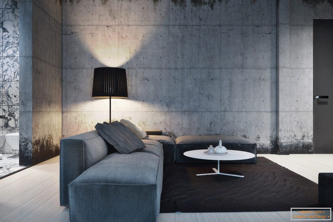 Camera de zi în stil minimalist, cu podea gri