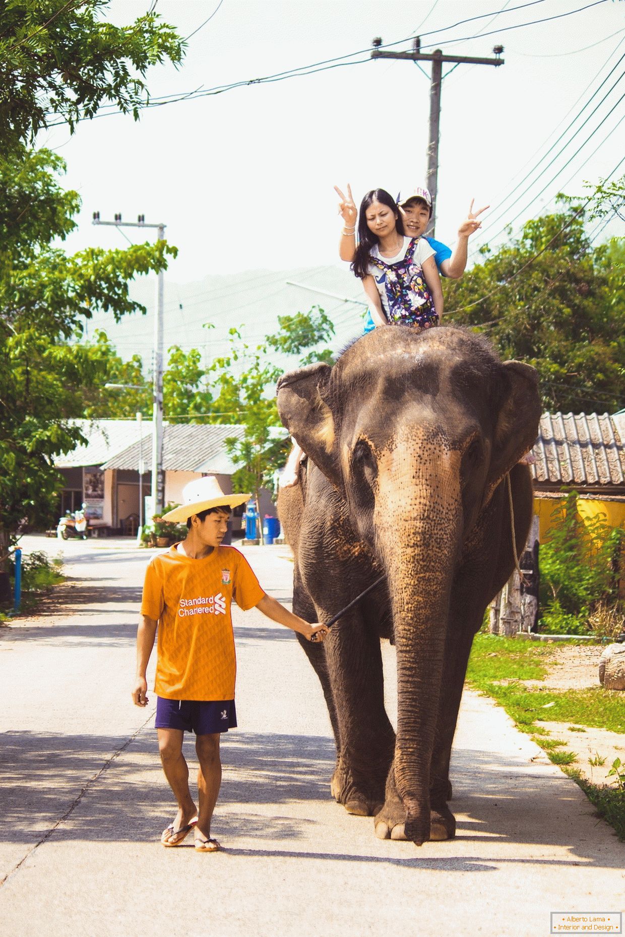 Călătorind pe un elefant