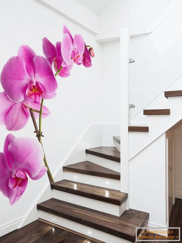 Fotografii de orhidee pe scări
