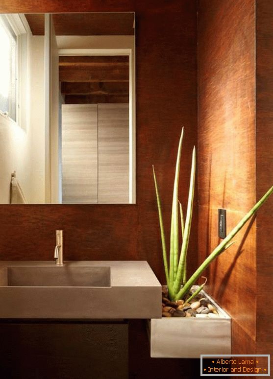 Aloe vera într-o baie modernă