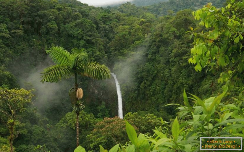 Tururi auto-ghidate în Costa Rica