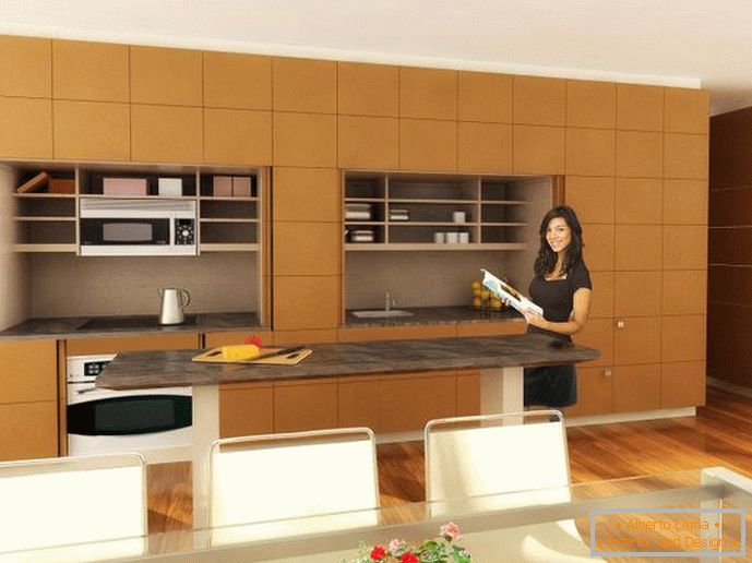 Design Bucătăriile interioare Stealth Kitchen by Furniture Resource