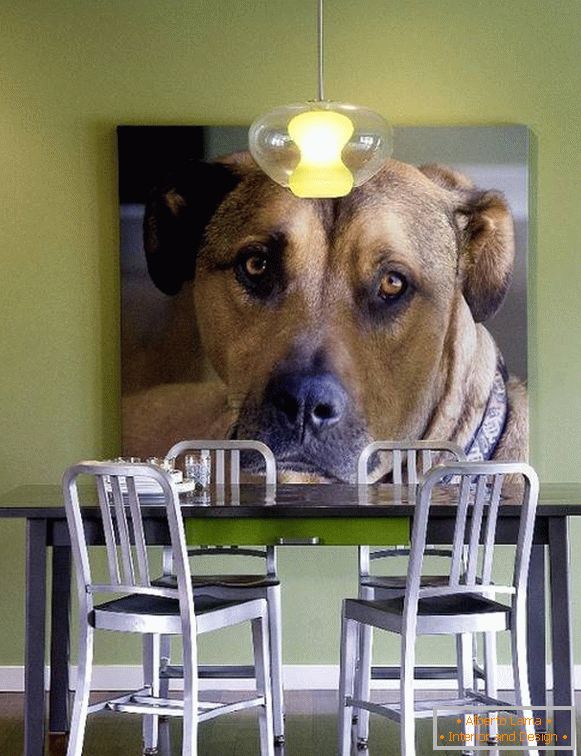 Fotografia câinelui ca o decorare a peretelui