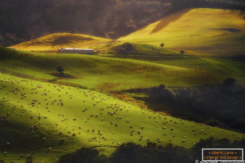 Peisaje din Noua Zeelandă Dylan Toh